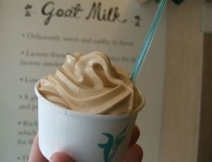 salted caramel goat milk soft serve ice cream local NYC Victory Garden