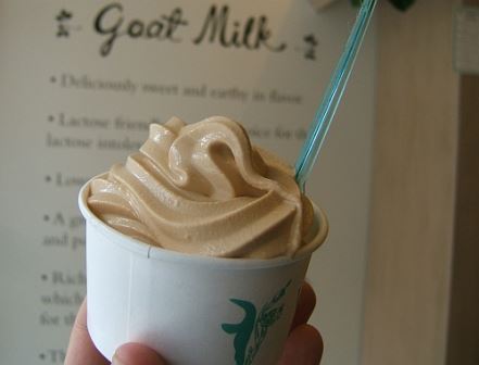 salted caramel goat milk soft serve ice cream local NYC Victory Garden