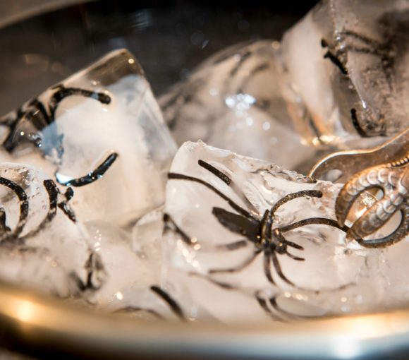 DIY creepy crawlie spider ice cubes | www.StylishSpoon.com