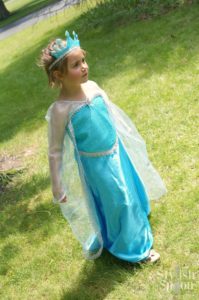 princess birthday party frozen elsa dress