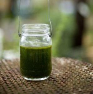 basil olive oil