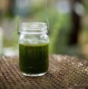 basil olive oil