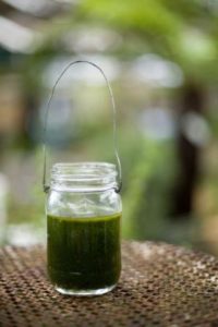 Basil infused olive oil recipe | stylishspoon.com